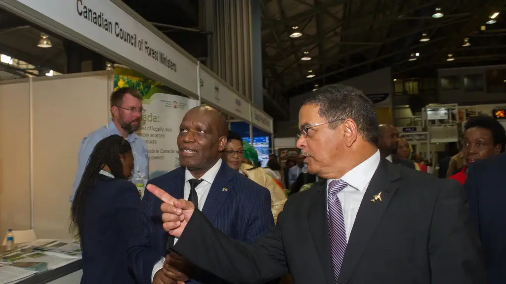 Public sector officials attend a forestry exhibition at the Durban ICC.